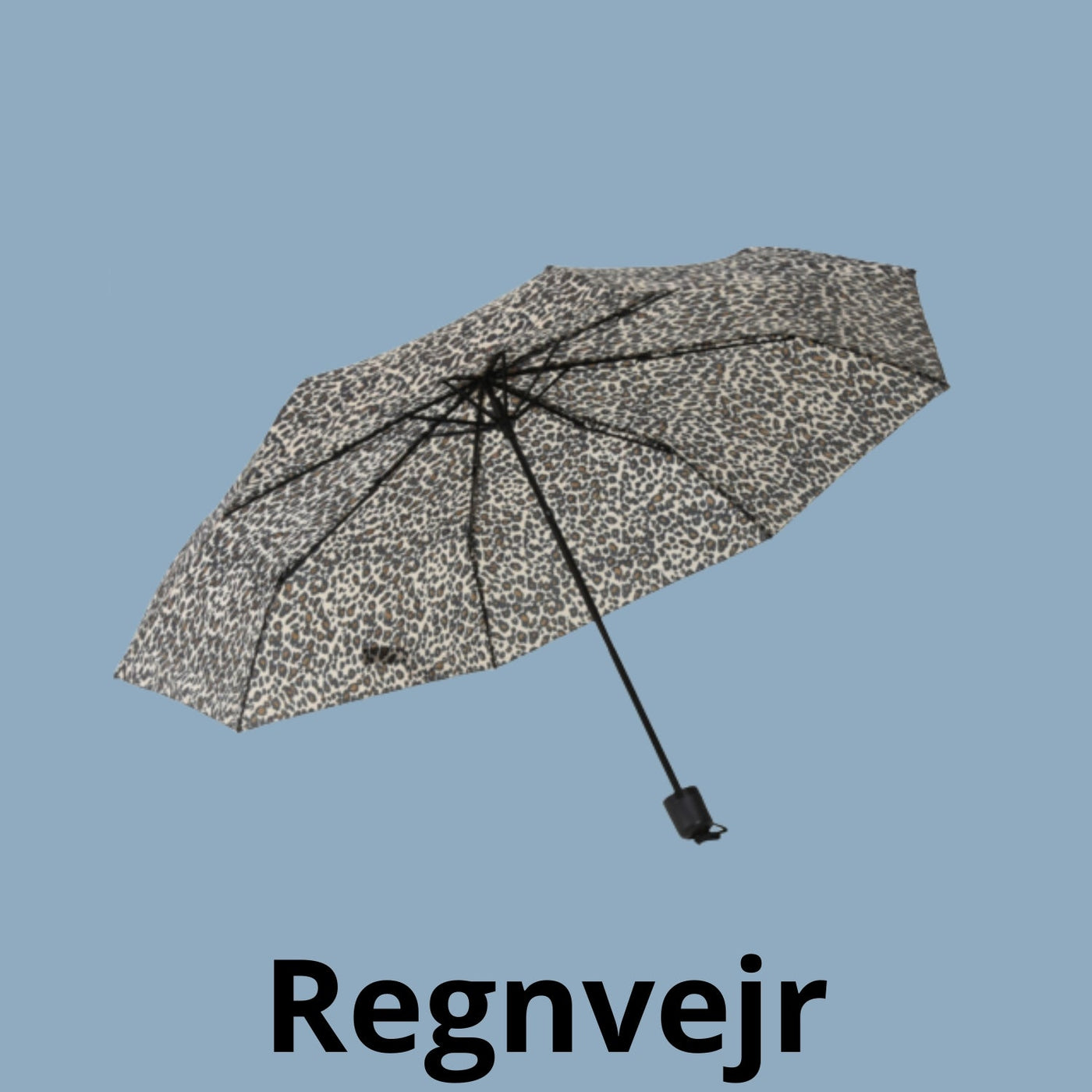 Regnvejr