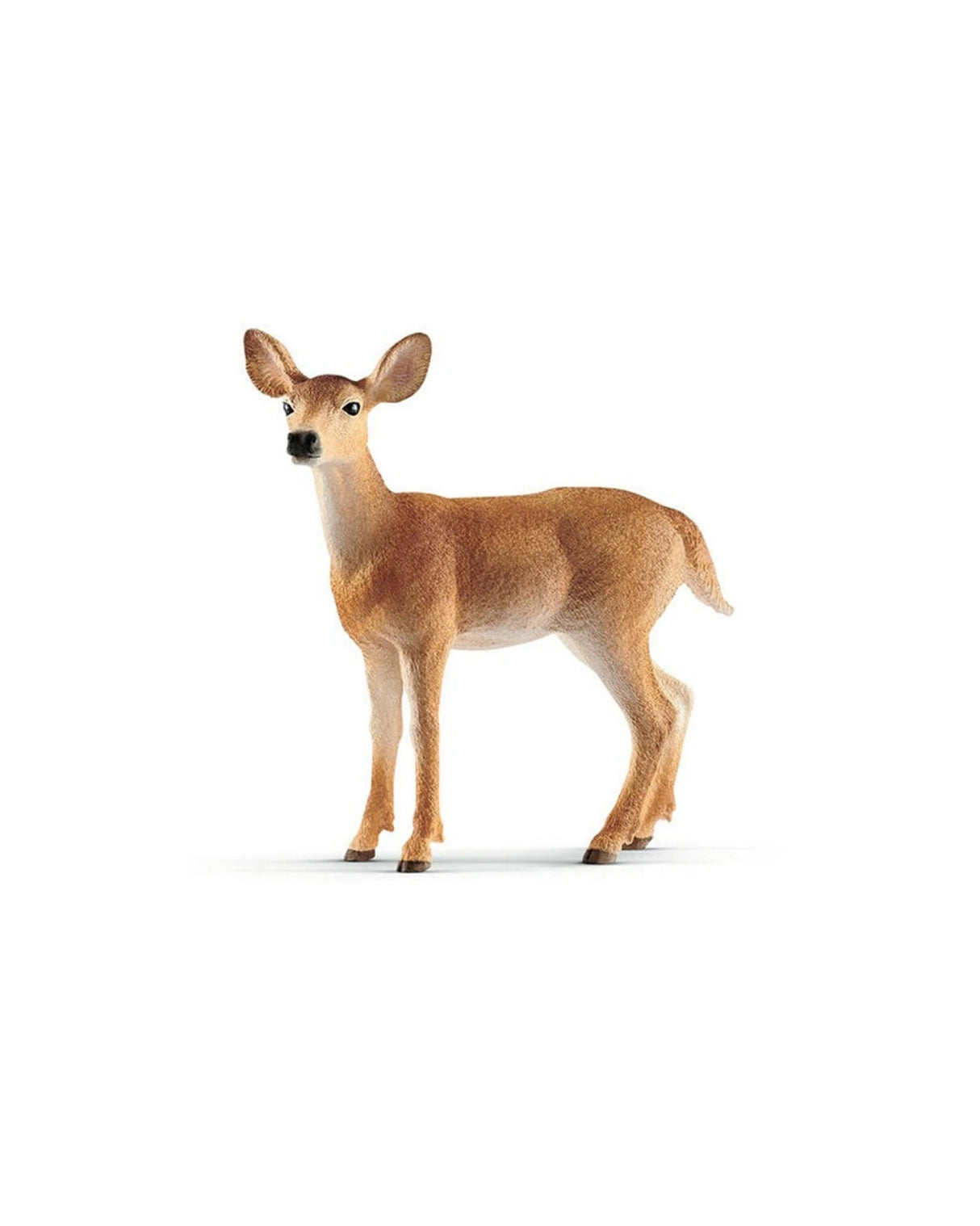 Schleich Wttail deer young / Hvidhalet Hjortekid - 14710