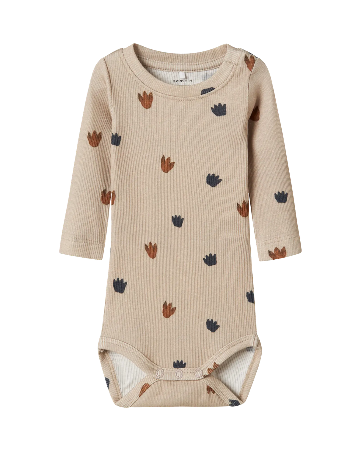 Sand - island fossil - name it - body - 13246558