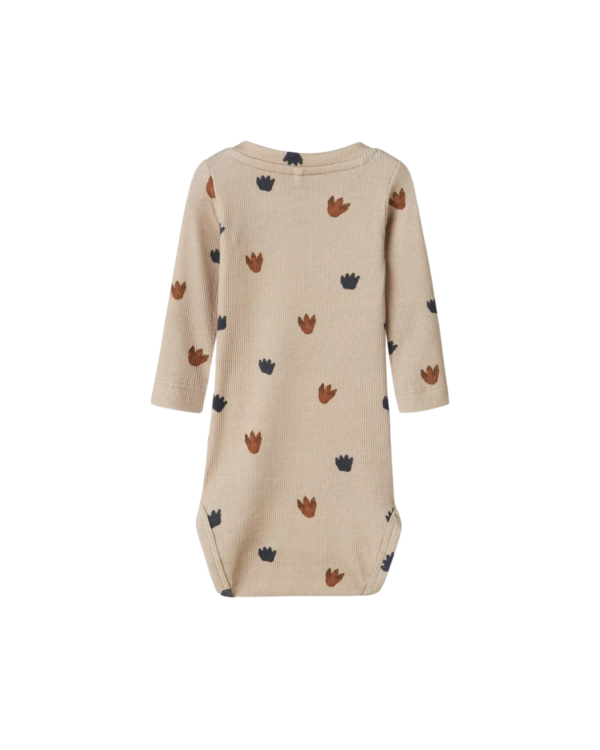 Sand - island fossil - name it - body - 13246558