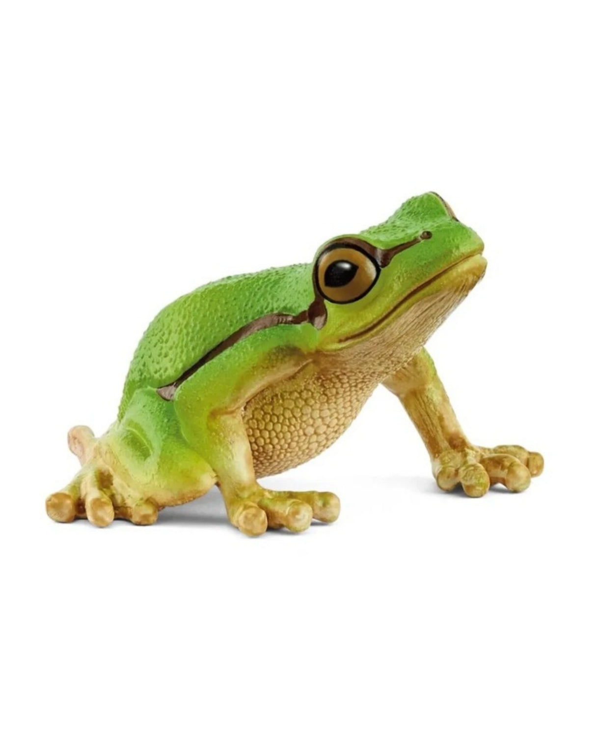 Frø - European Tree Frog - Schleich 14882
