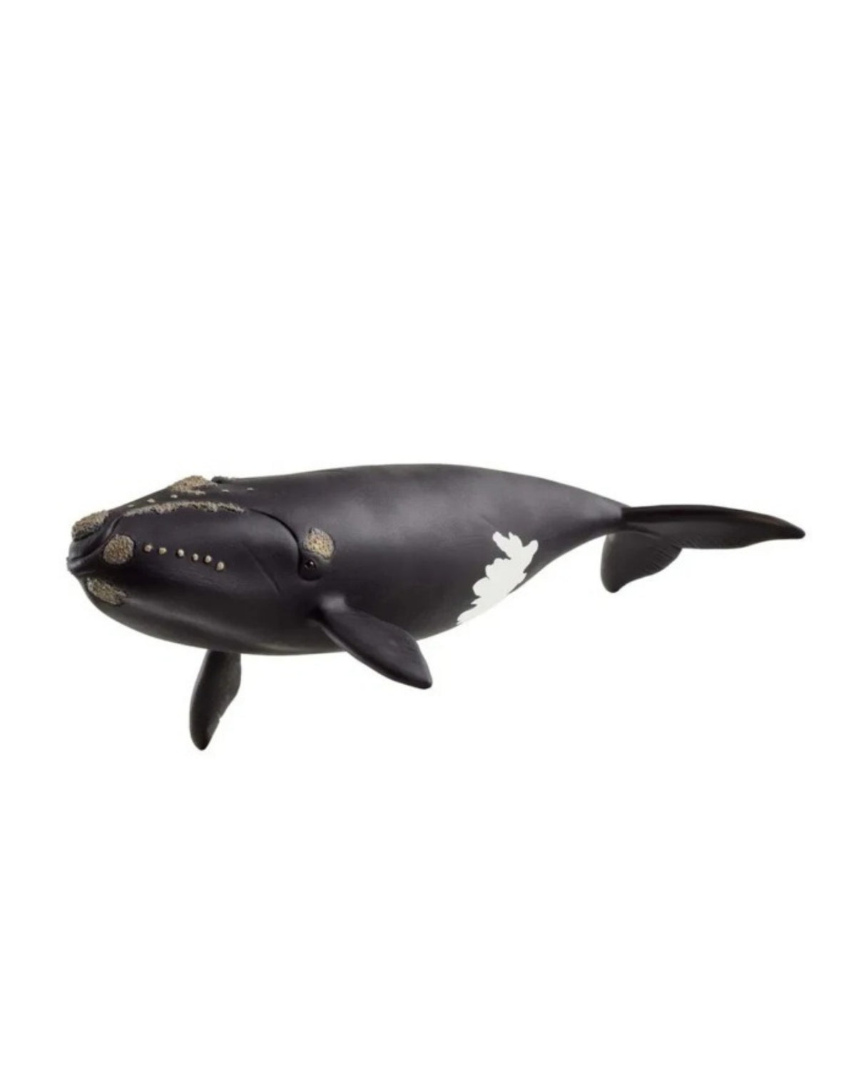 North Atlantic Right Whale - Schleich 14878