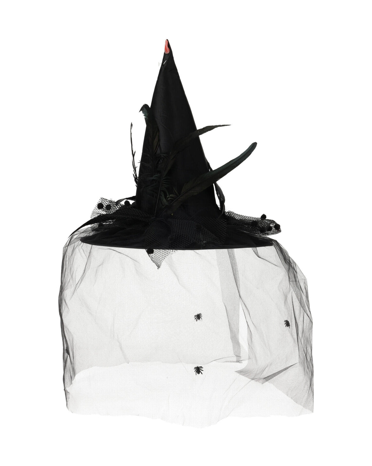 Witch hat with veil