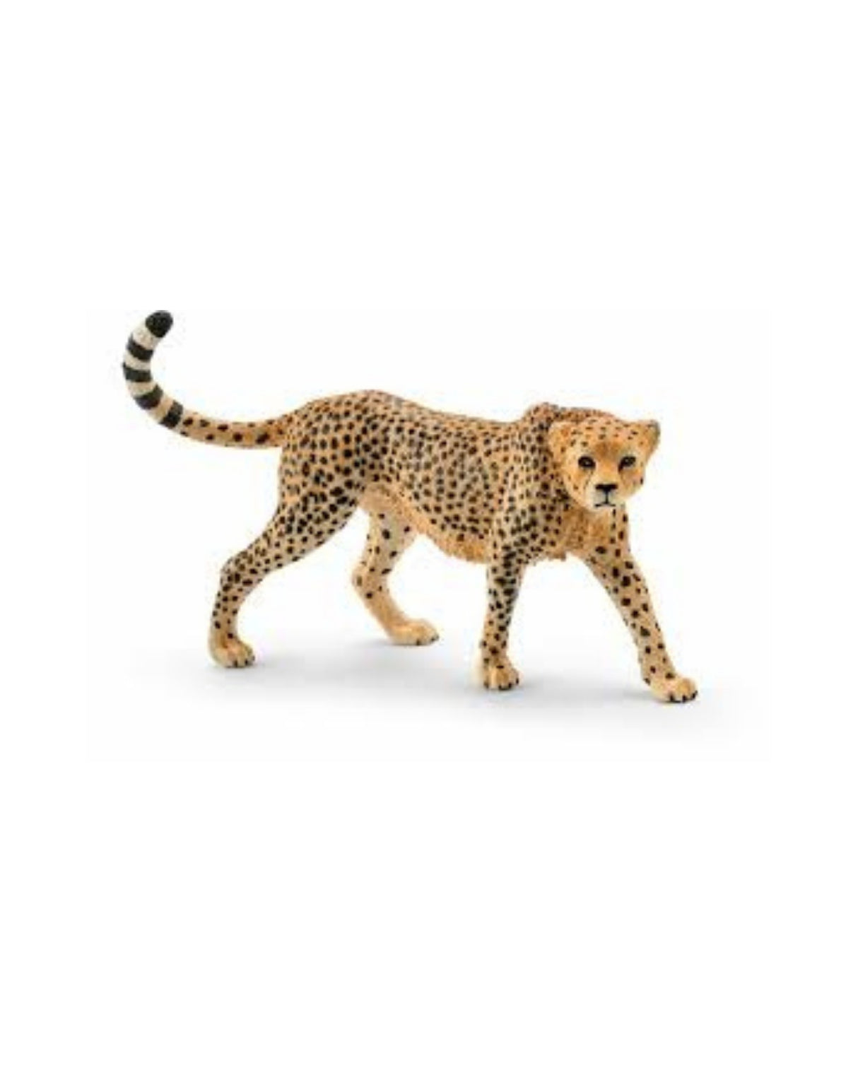 Geopard Hun - Schleich 14746