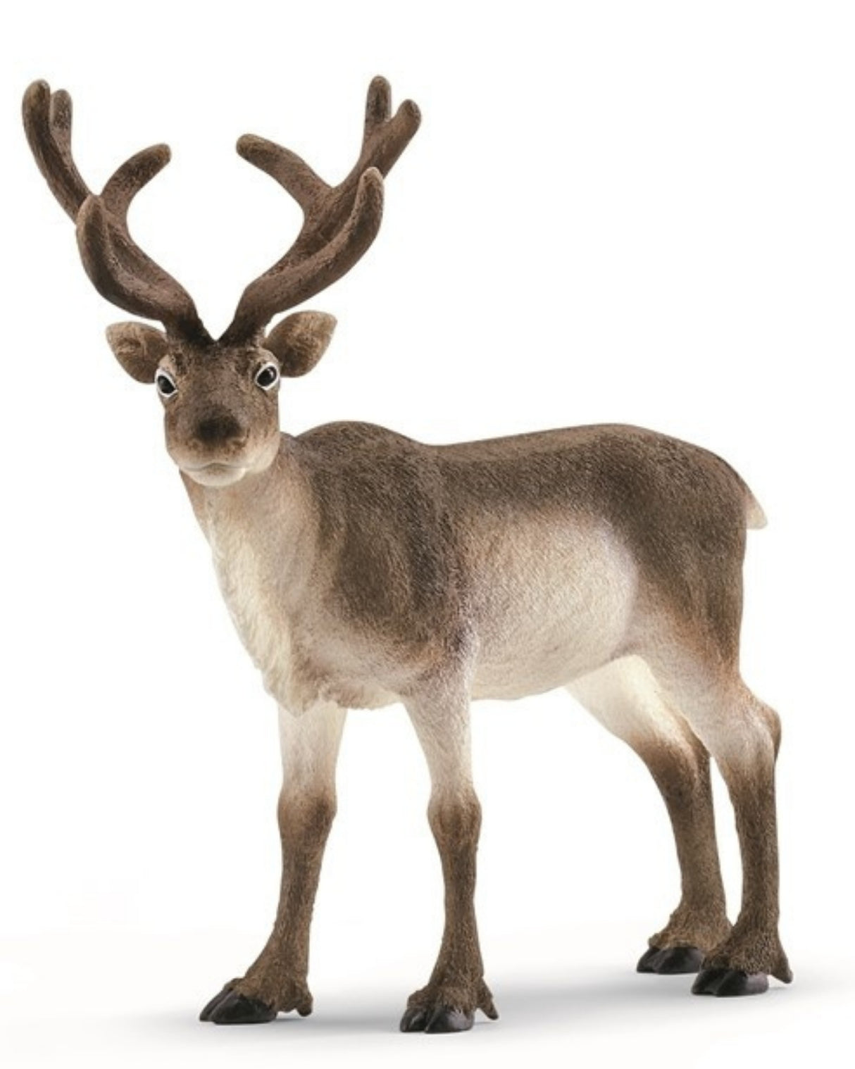 Reindeer - Schleich 14837