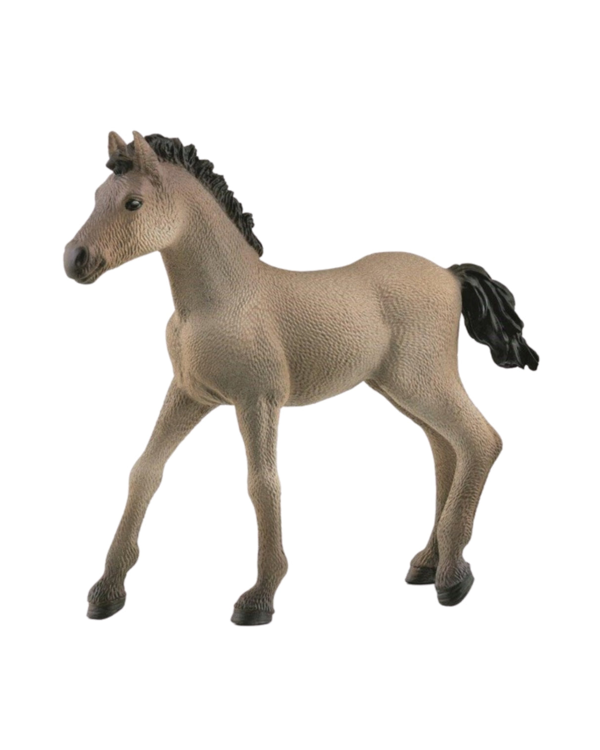 Criollo Definitivo Foal - Schleich 13949