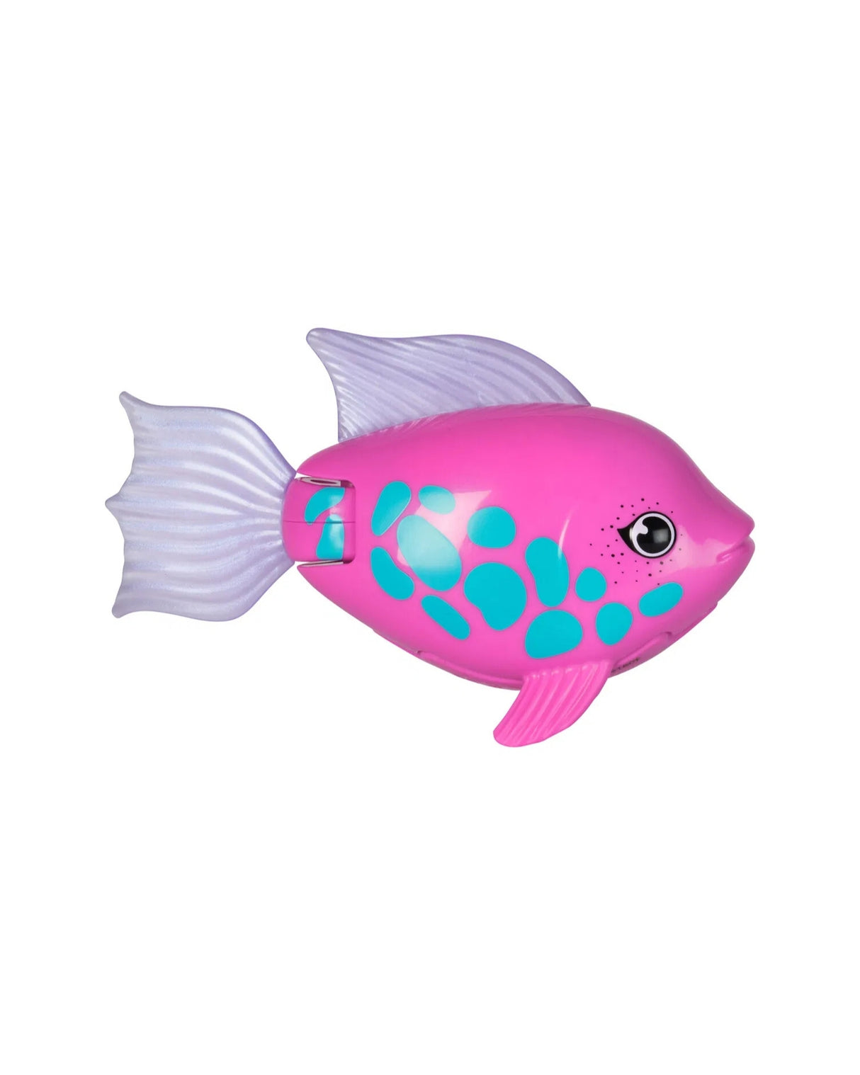 Rainbow Reef Fish - Tuna Turner