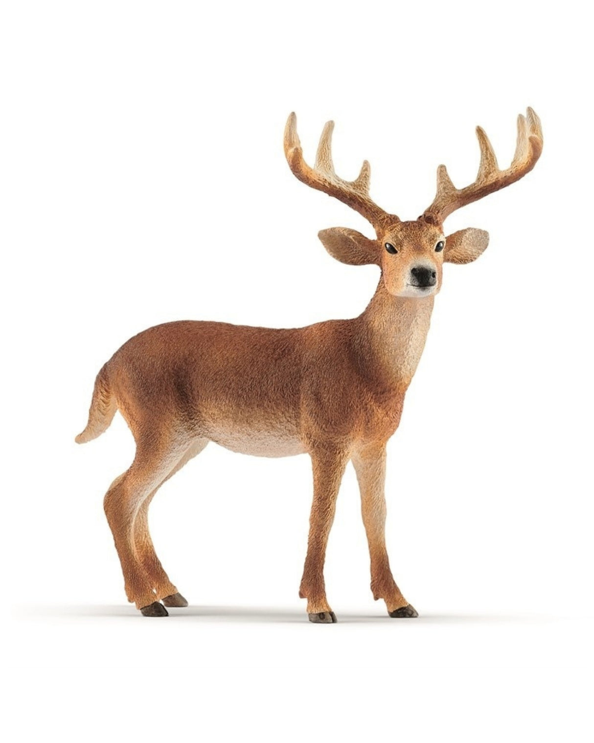 Hvidhale buk - White-Tailed Buck - Schleich 14818