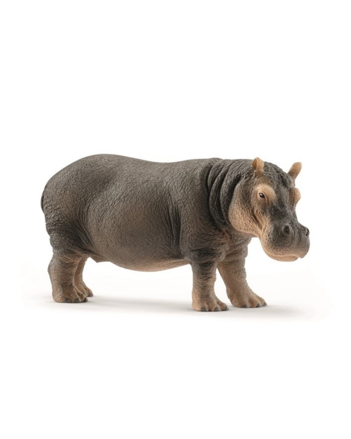 Hippo - Hippopotamus - Schleich 14814