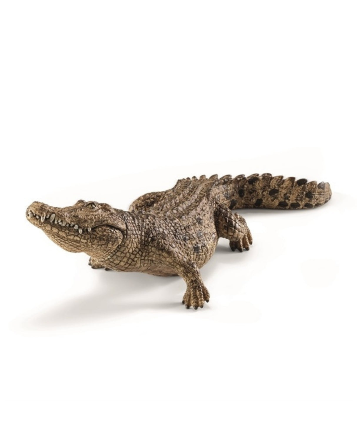 Krokodille - Crocodile - Schlech 14736