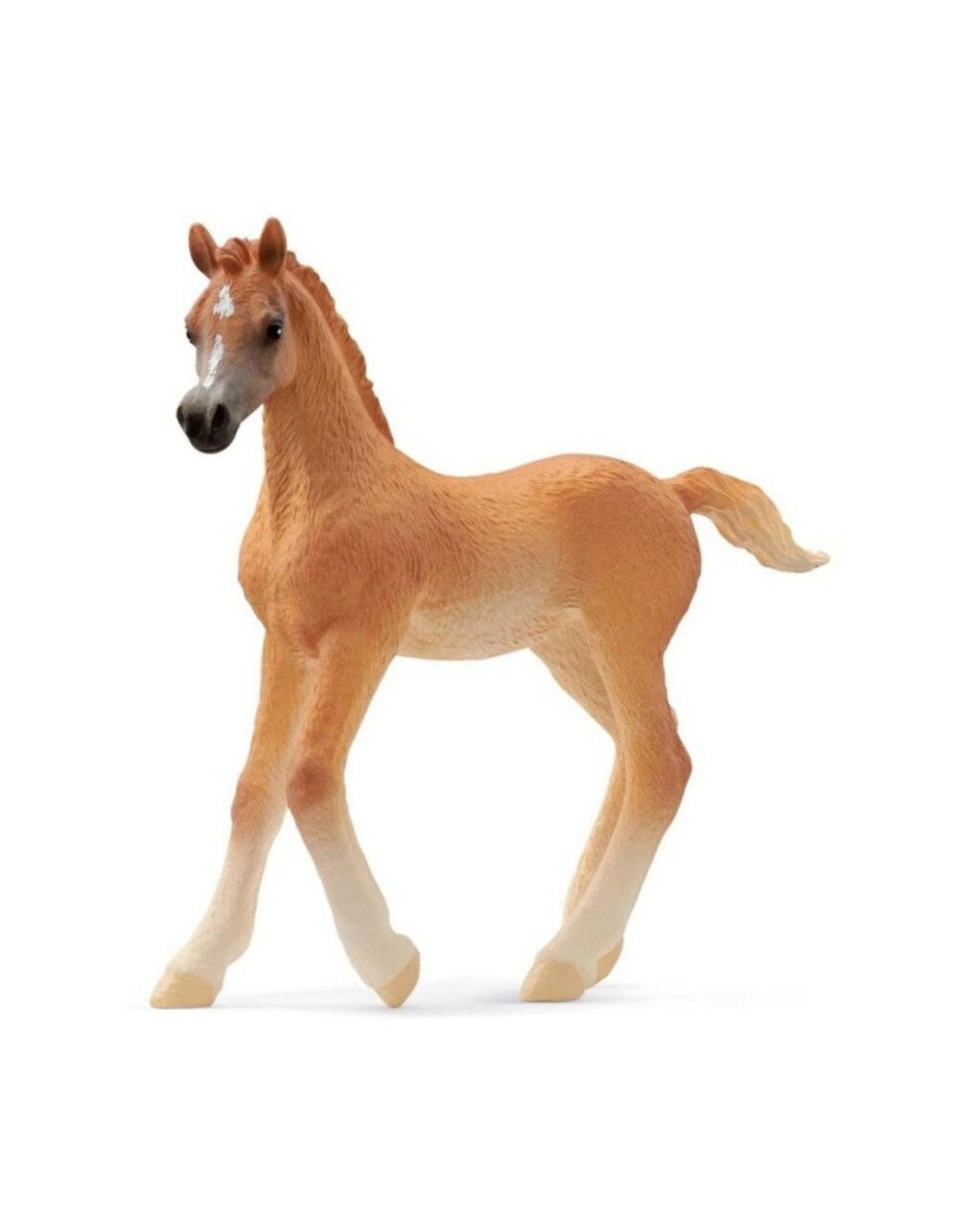 Arab foal - Schleich 13984