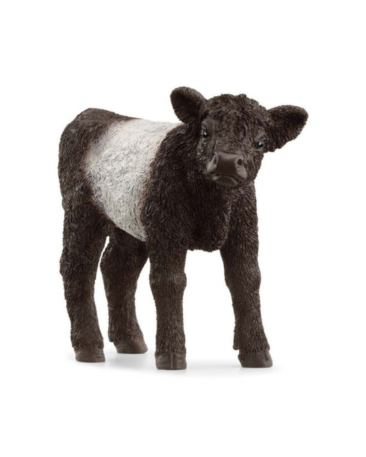 Galloway Calf - Schleich 13969