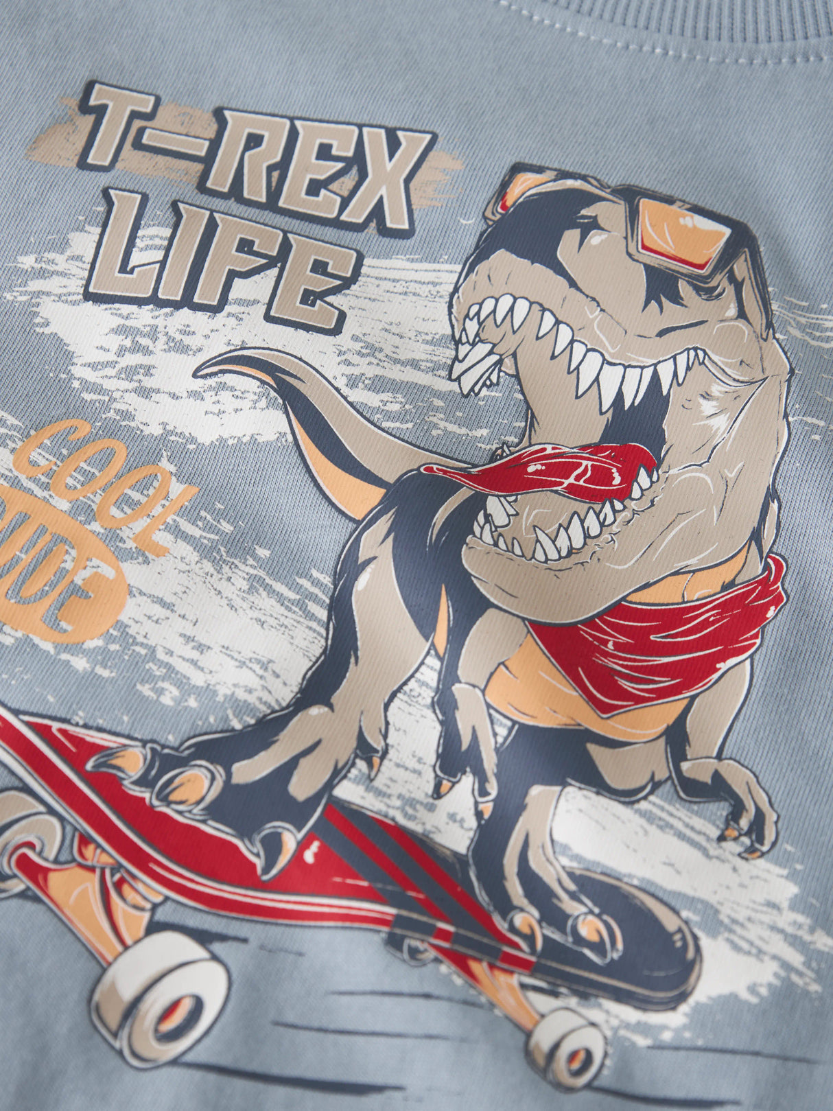 Blue Fog Dino Skate Bluse fra Name it - 13244085