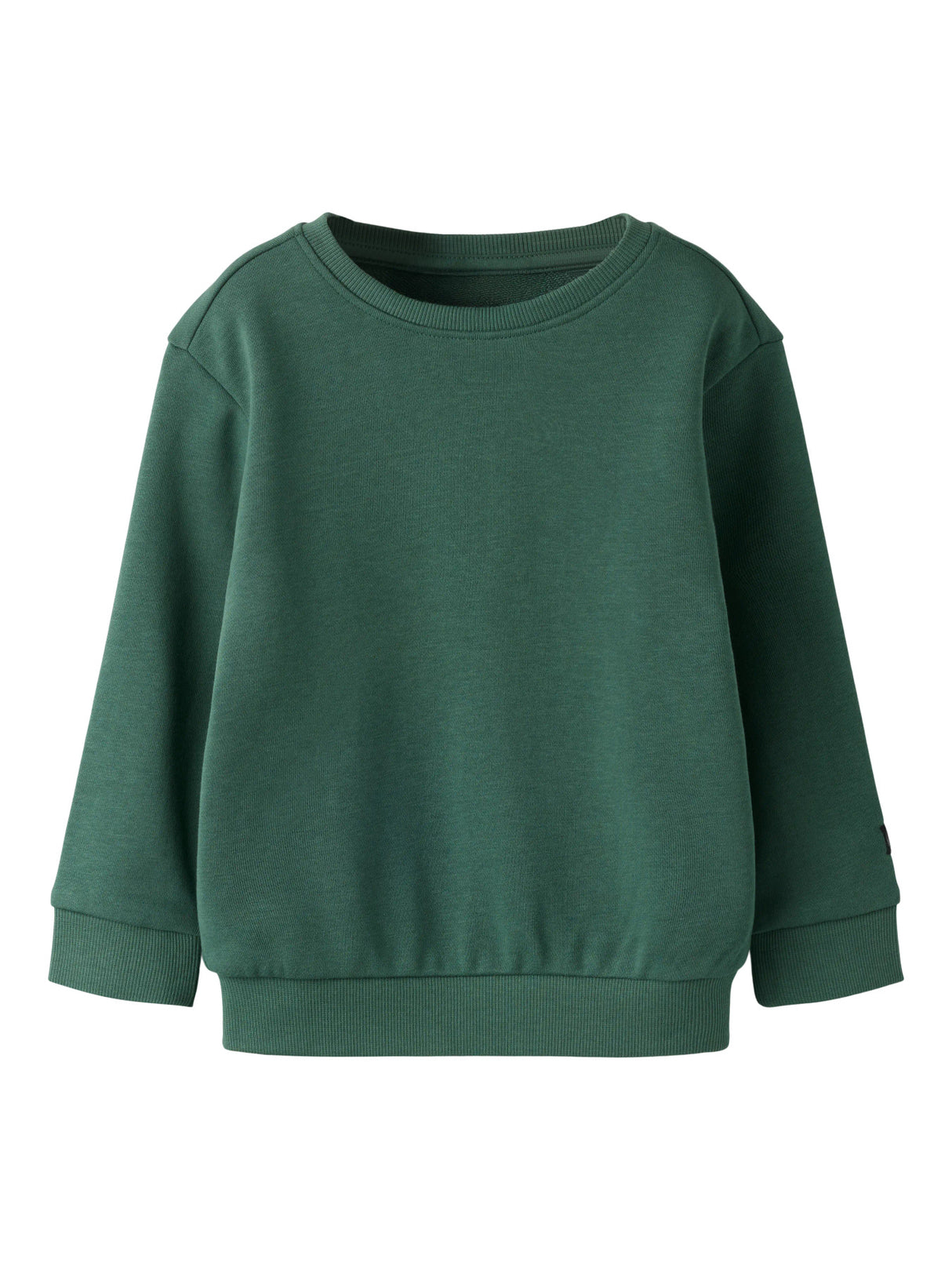 Garden Topiary Sweatshirt fra Name it - 13261700