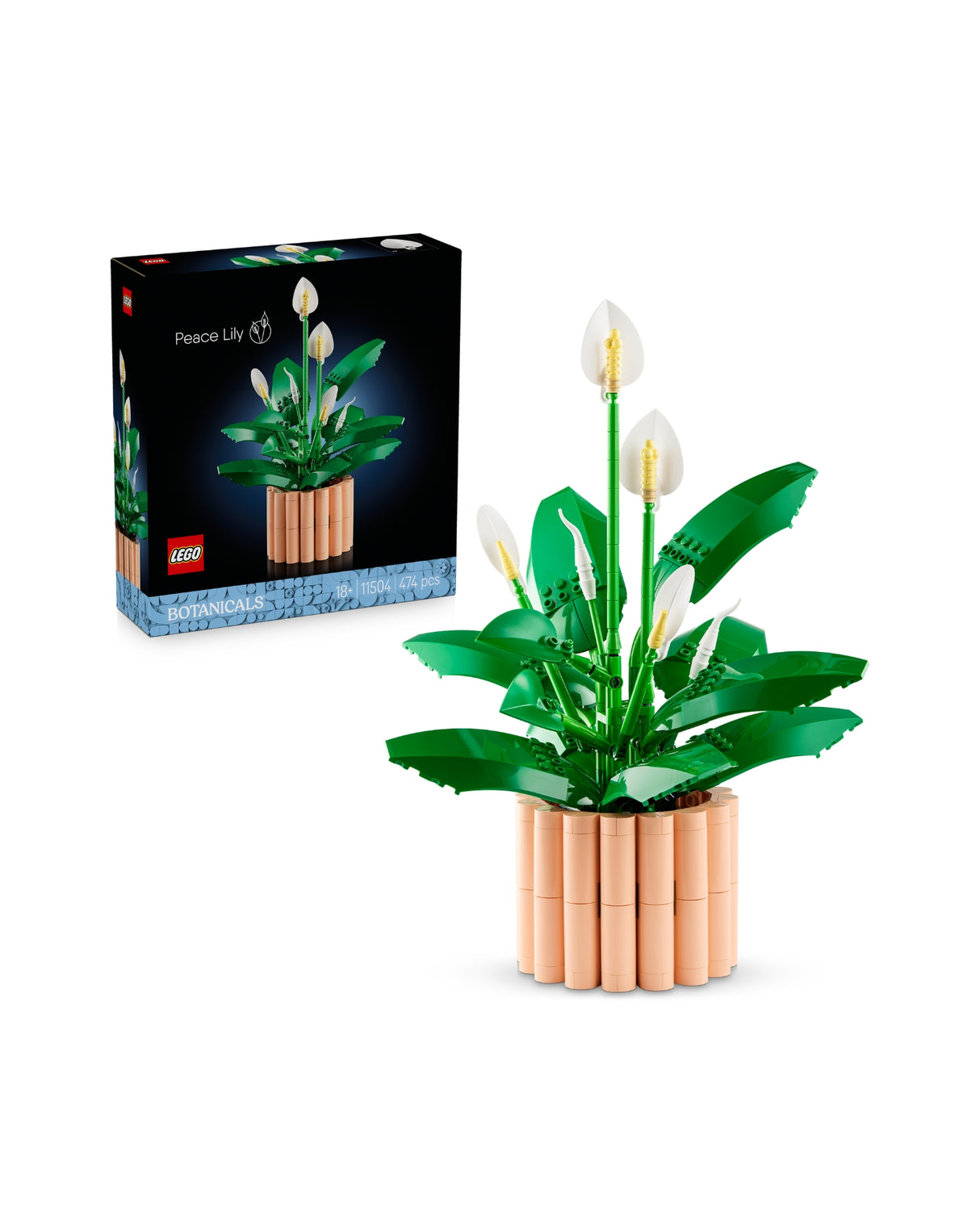 LEGO 11205 Gobble-gobble Mountain and the Cat Garden - LEGO Gabby's Dollhouse