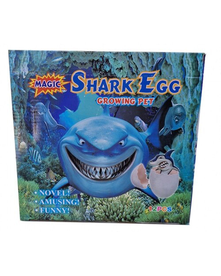 Shark egg