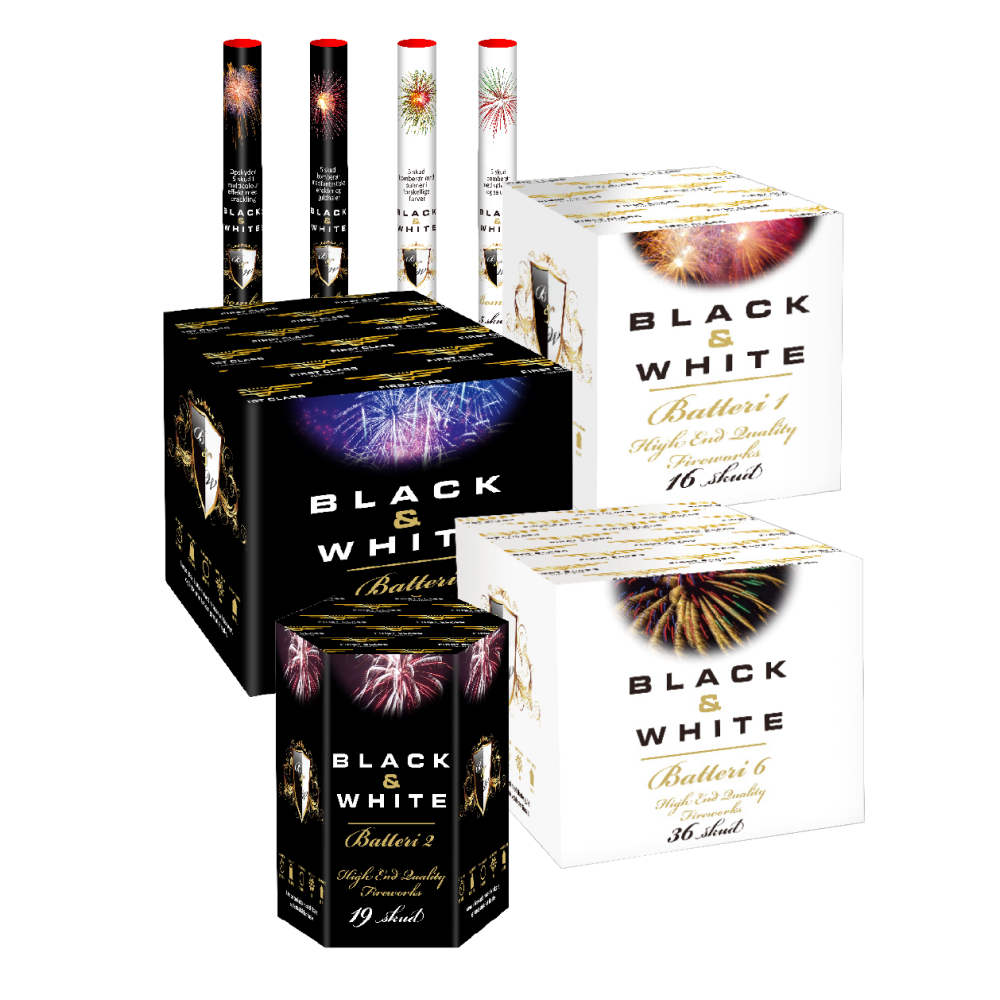 (No.13) Superior party assortment