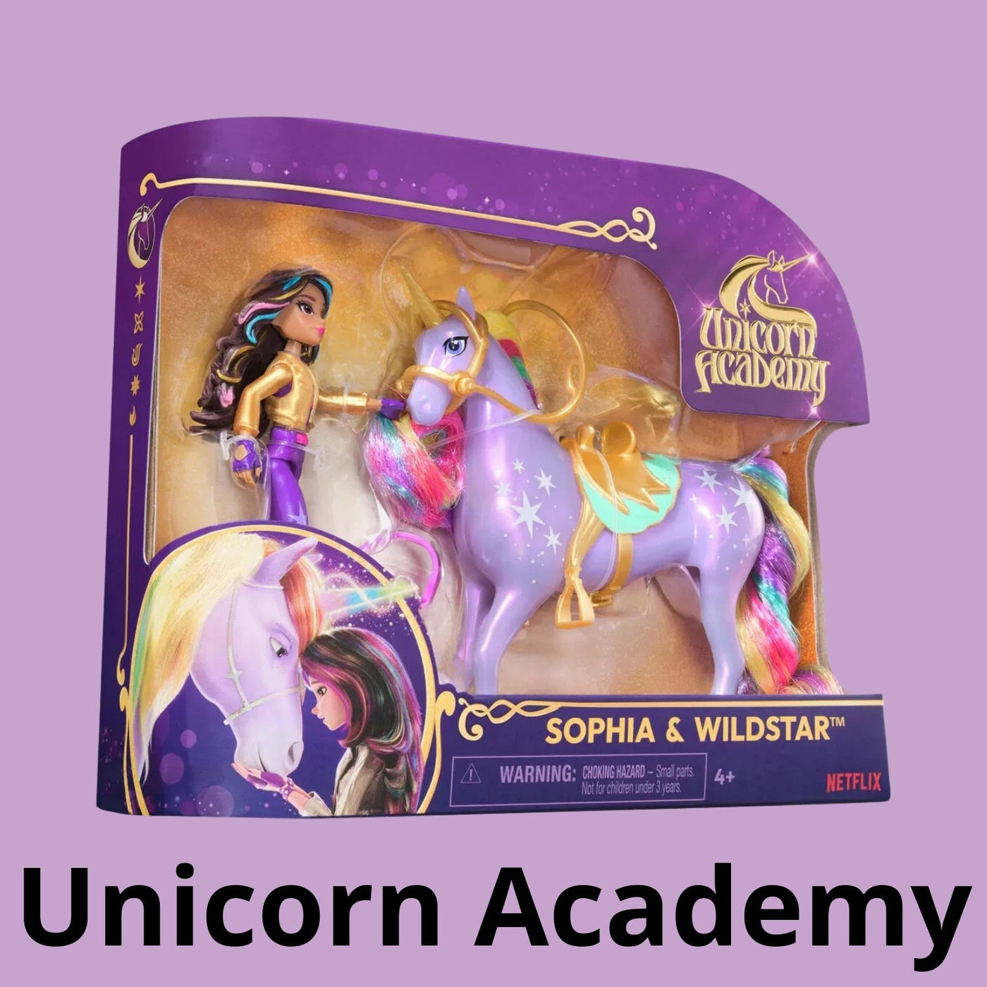 Unicorn Academy