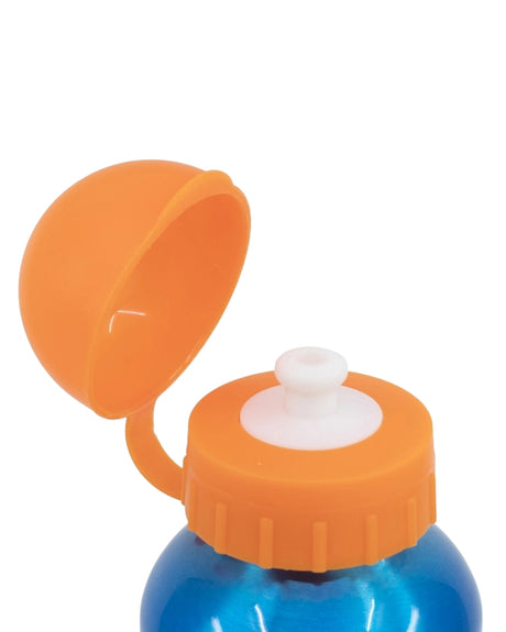 Pokemon aluminiums drikkedunk flaske, 530ml