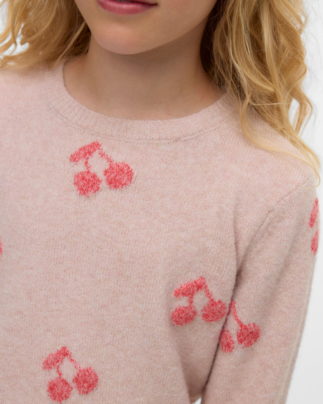 Vero Moda Birch misty rose Striktrøjemed kirsebær  - 10337561