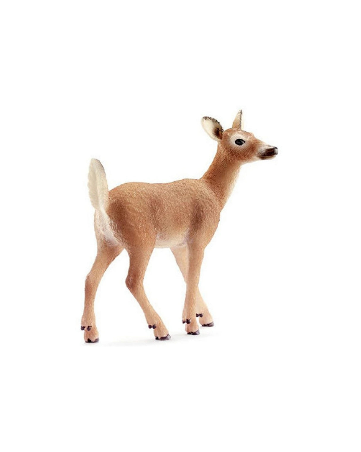 Schleich Wttail deer young / Hvidhalet Hjortekid - 14710