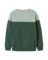 Grøn- Garden Topiary - Name it - Sweatshirt - "California" - 13234310