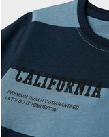 Blå - Spring Lake - Navy Blazer - Name it - T-shirt - Striber - 13241023