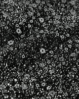 Sort/sølv - black - name it - Bluse -13250257