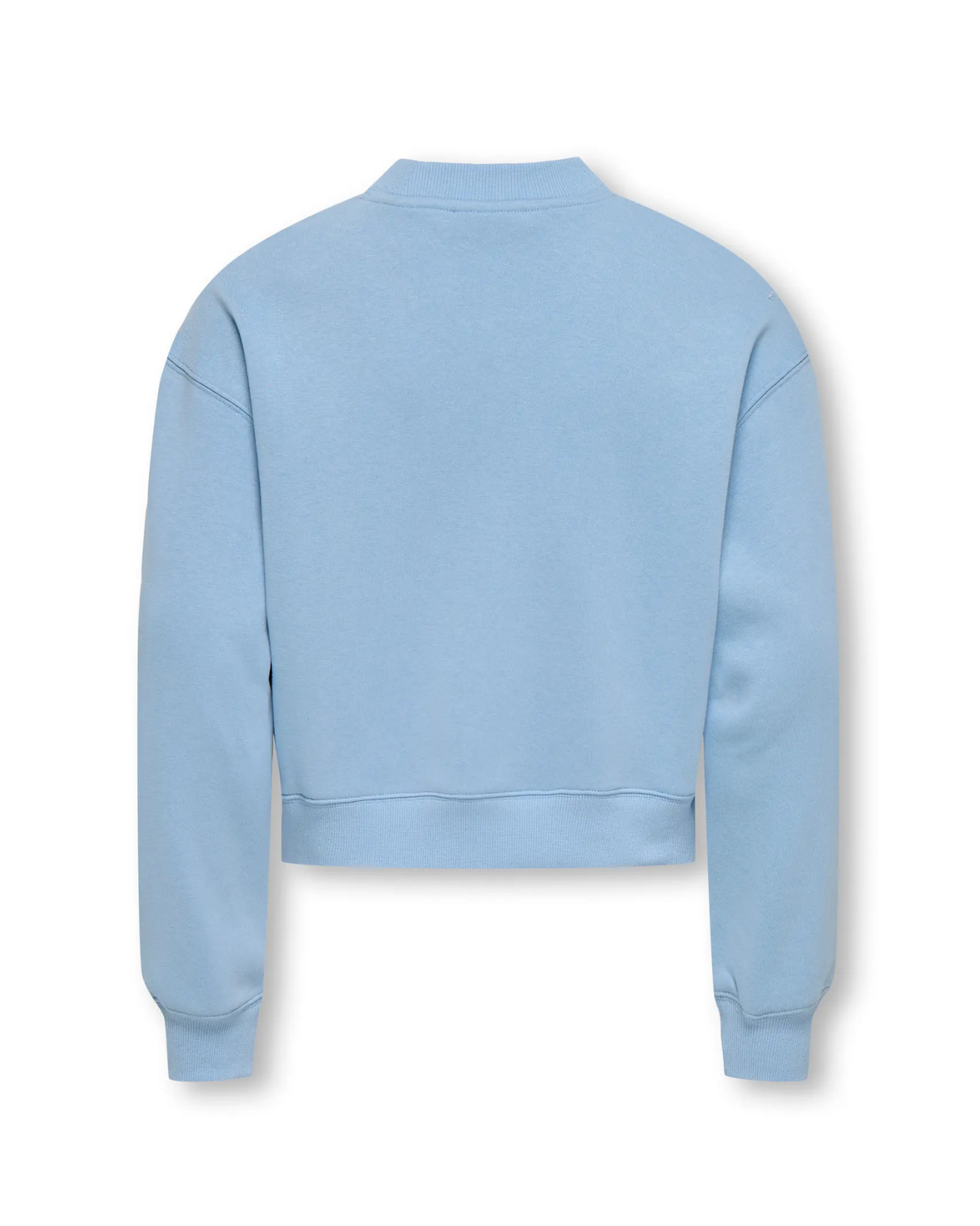 Dark Blue - Night Sky - Only - Sweatshirt - Flamingos - 15280285