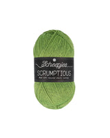 Scheepjes Scrumptious Garn 100g - 326 Matcha Chiffon Cake