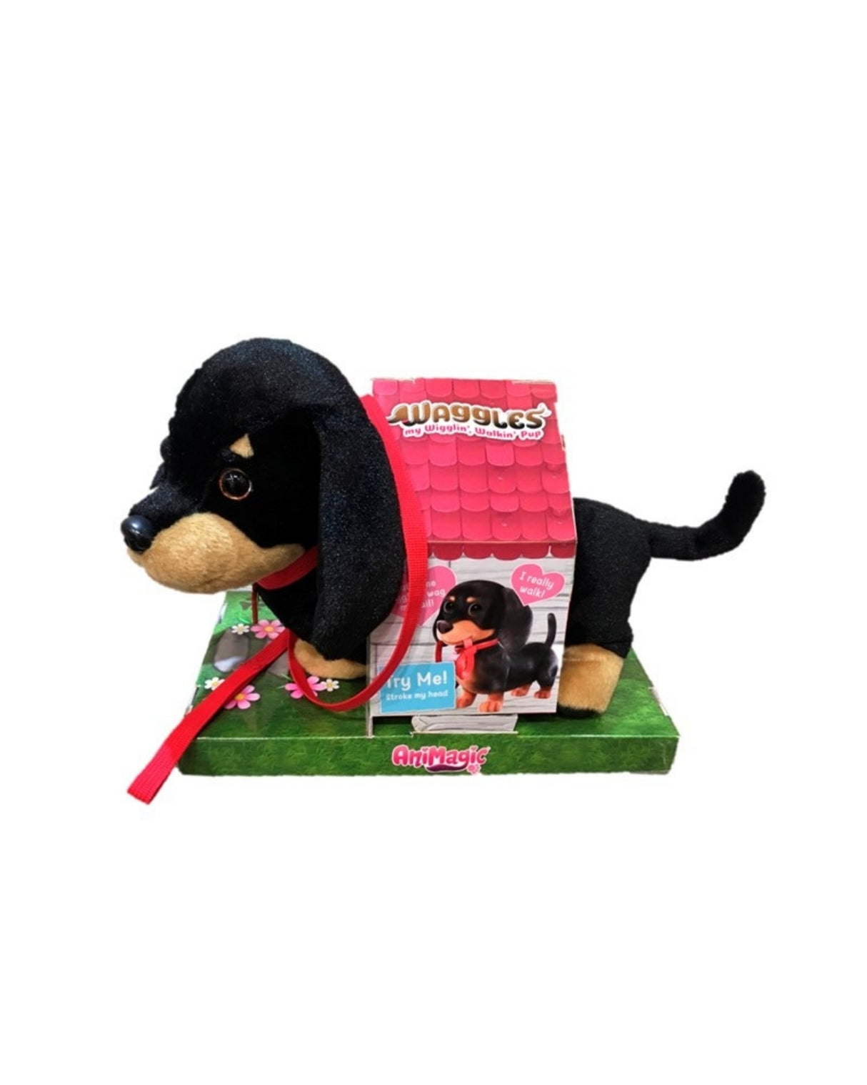 Scruffies Waggles Walking Puppy