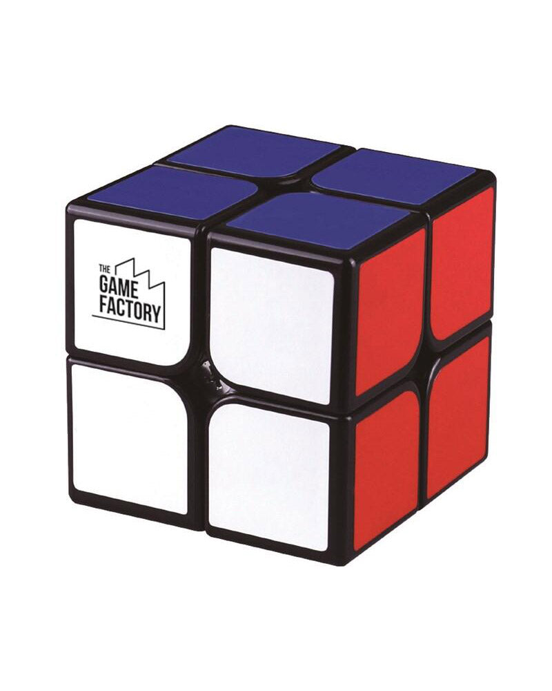 IQ Terning 2x2