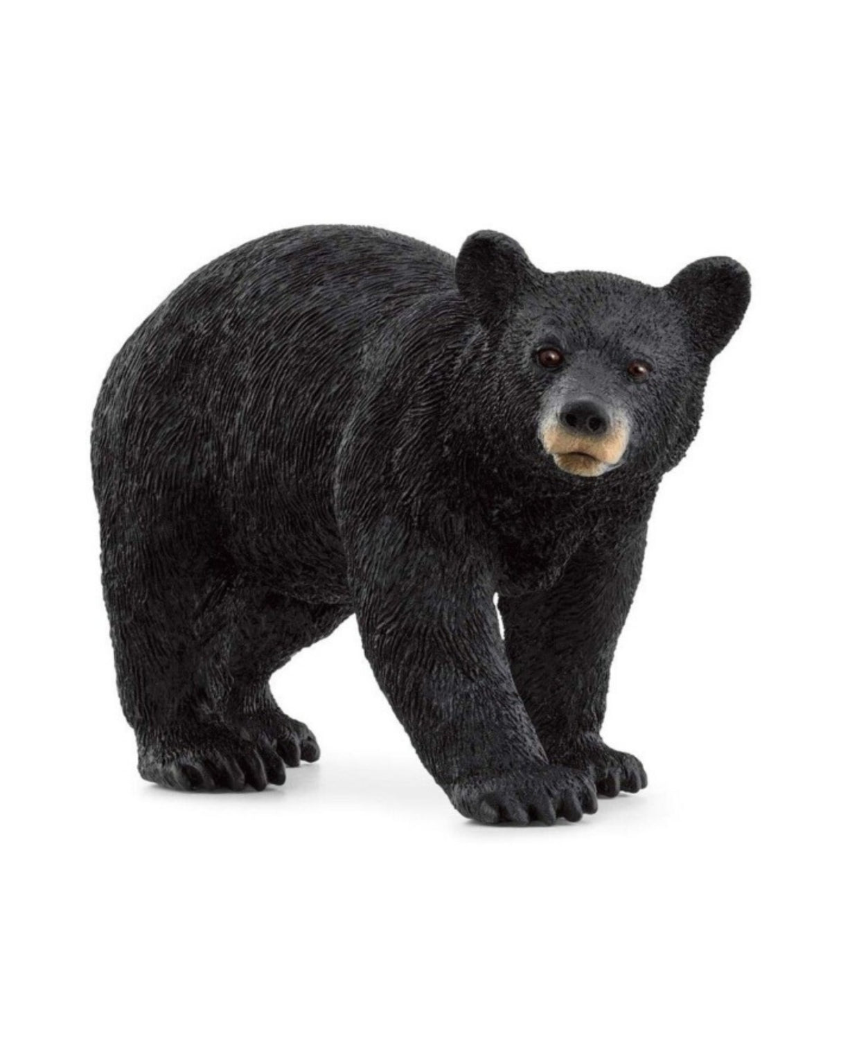 Bear - American Black Bear - Schleich 14869