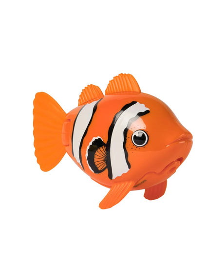 Rainbow Reef Fish - Swim Shady