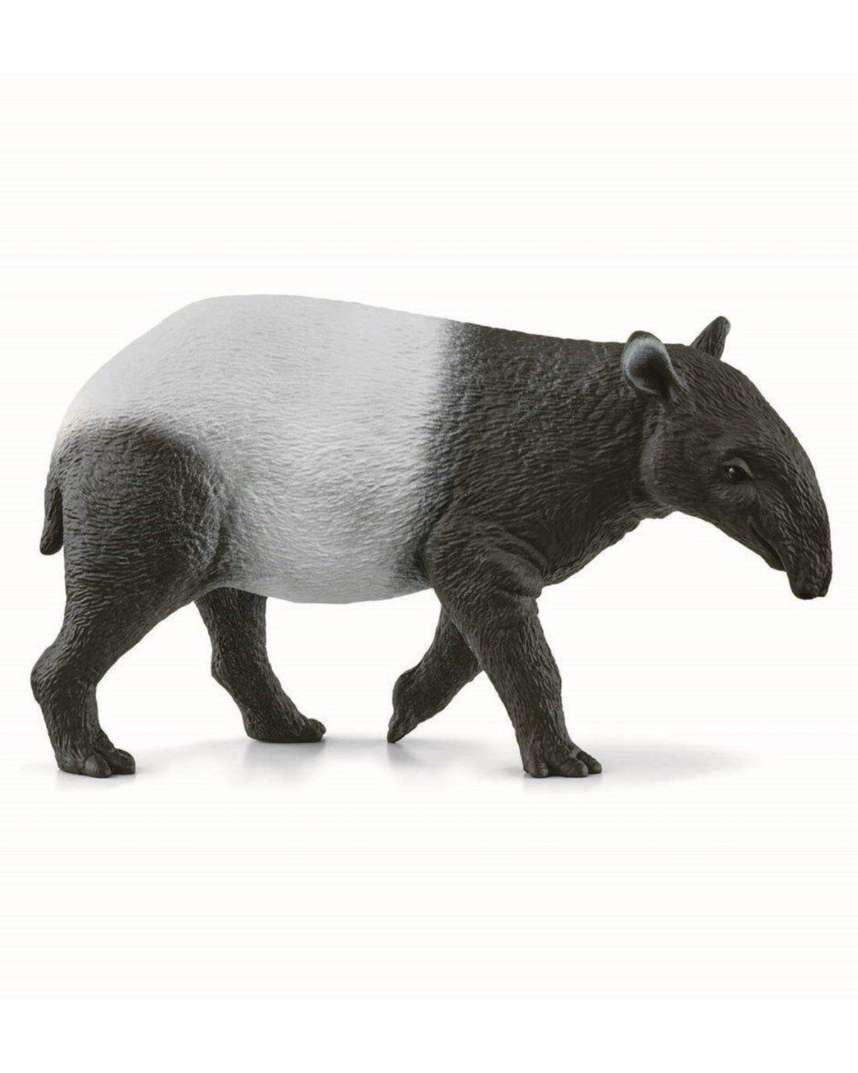 Tapir - Schleich 14850