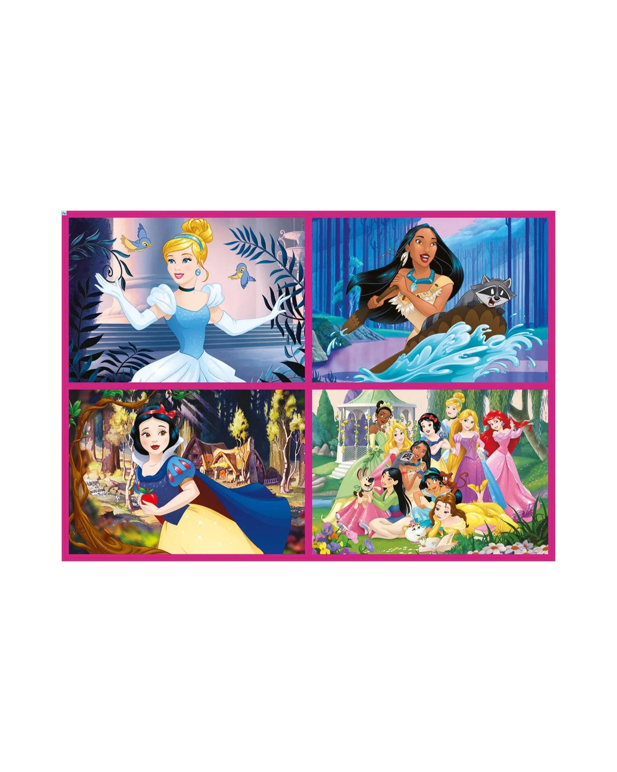 Educa 50-80-100-150 Disney Princess