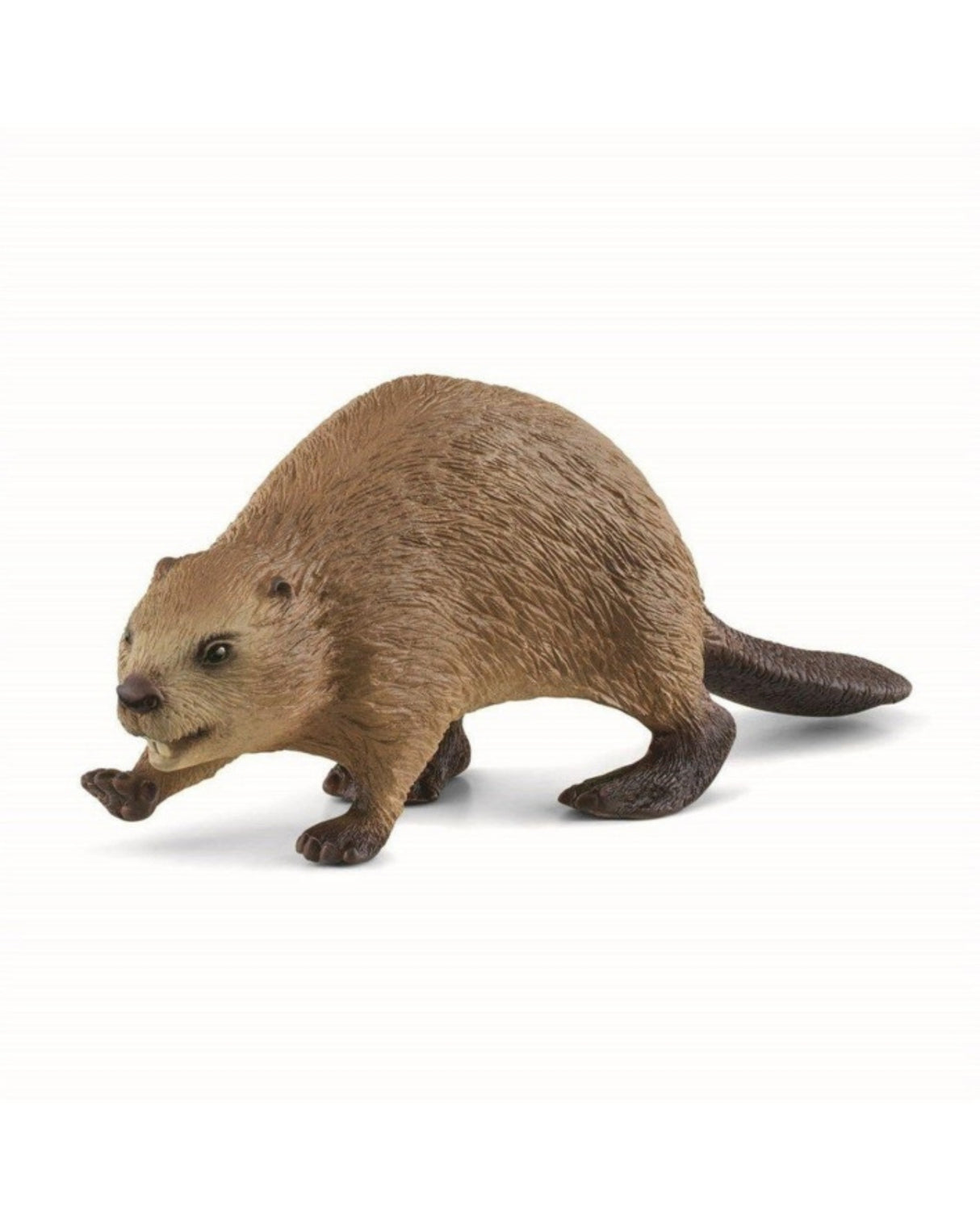 Beaver - Schleich 14855