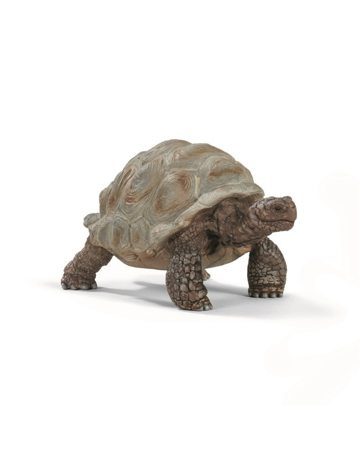 Giant Tortoise - Schleich 14824
