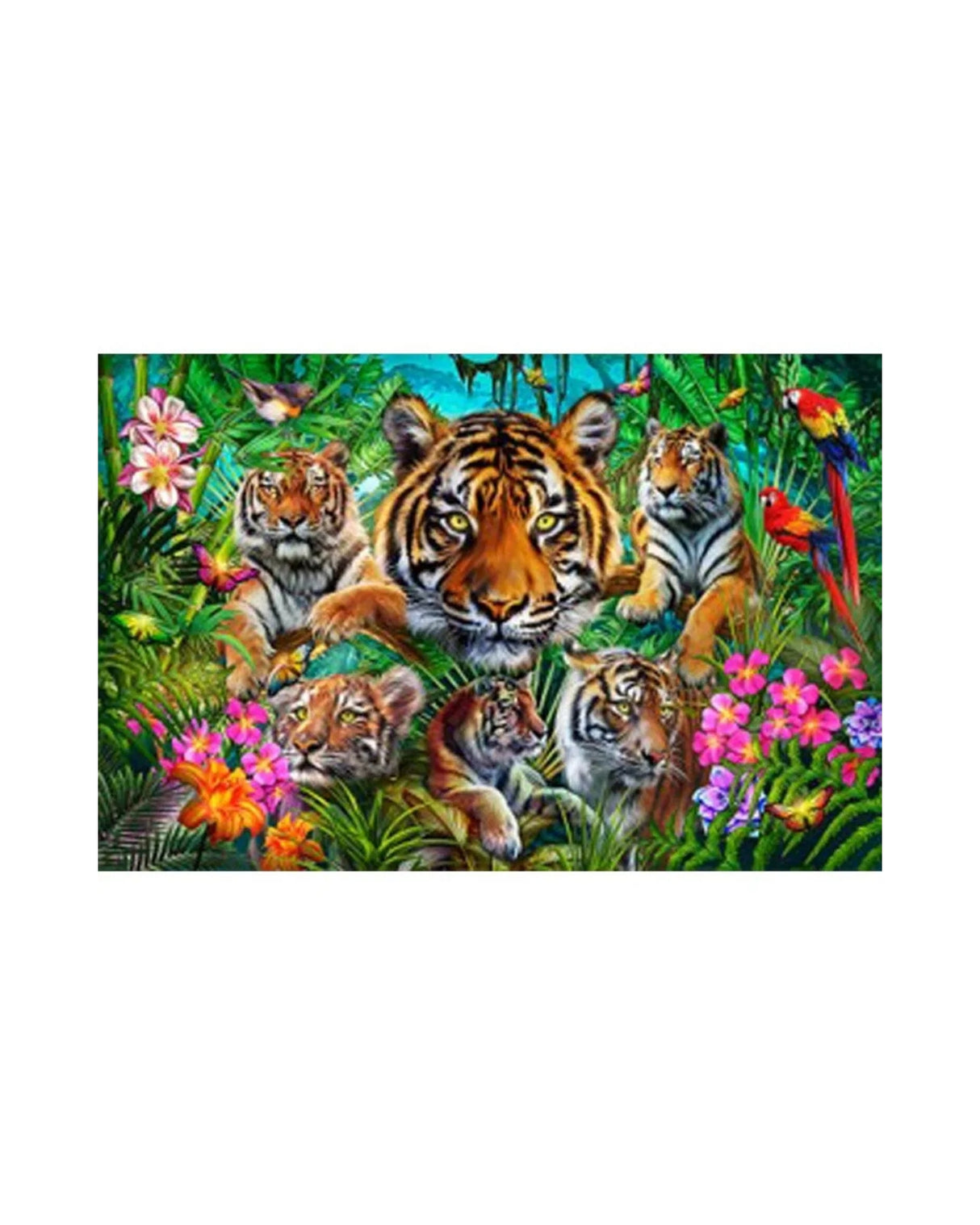 Educa 500 Tiger Jungle