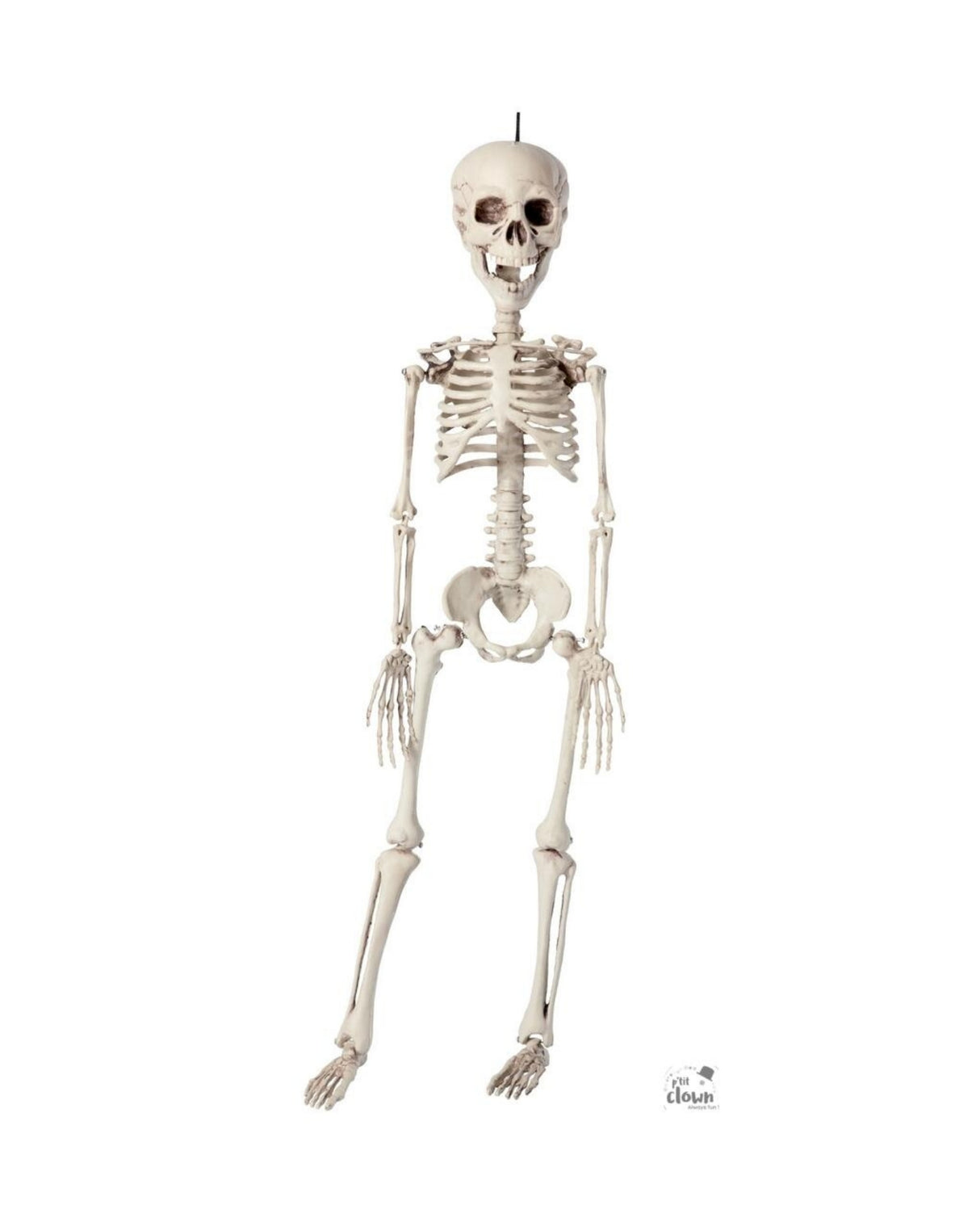 Skeleton to hang - 76 cm