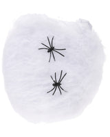 Edderkoppespind med 2 edderkopper