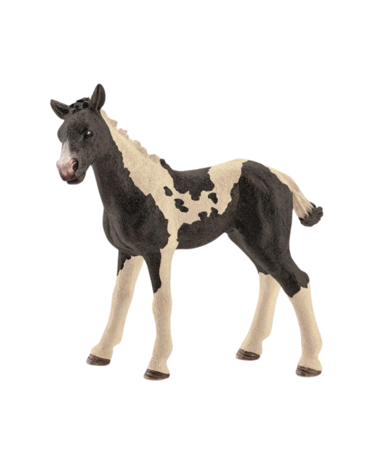 Pinto foal - Schleich 13803