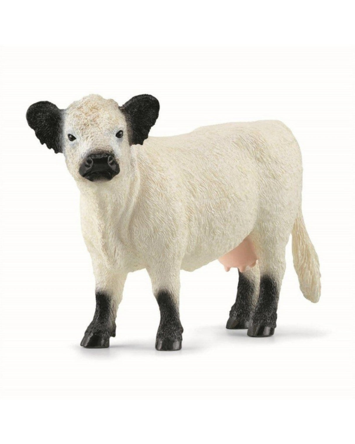 Galloway Cow - Schleich 13960