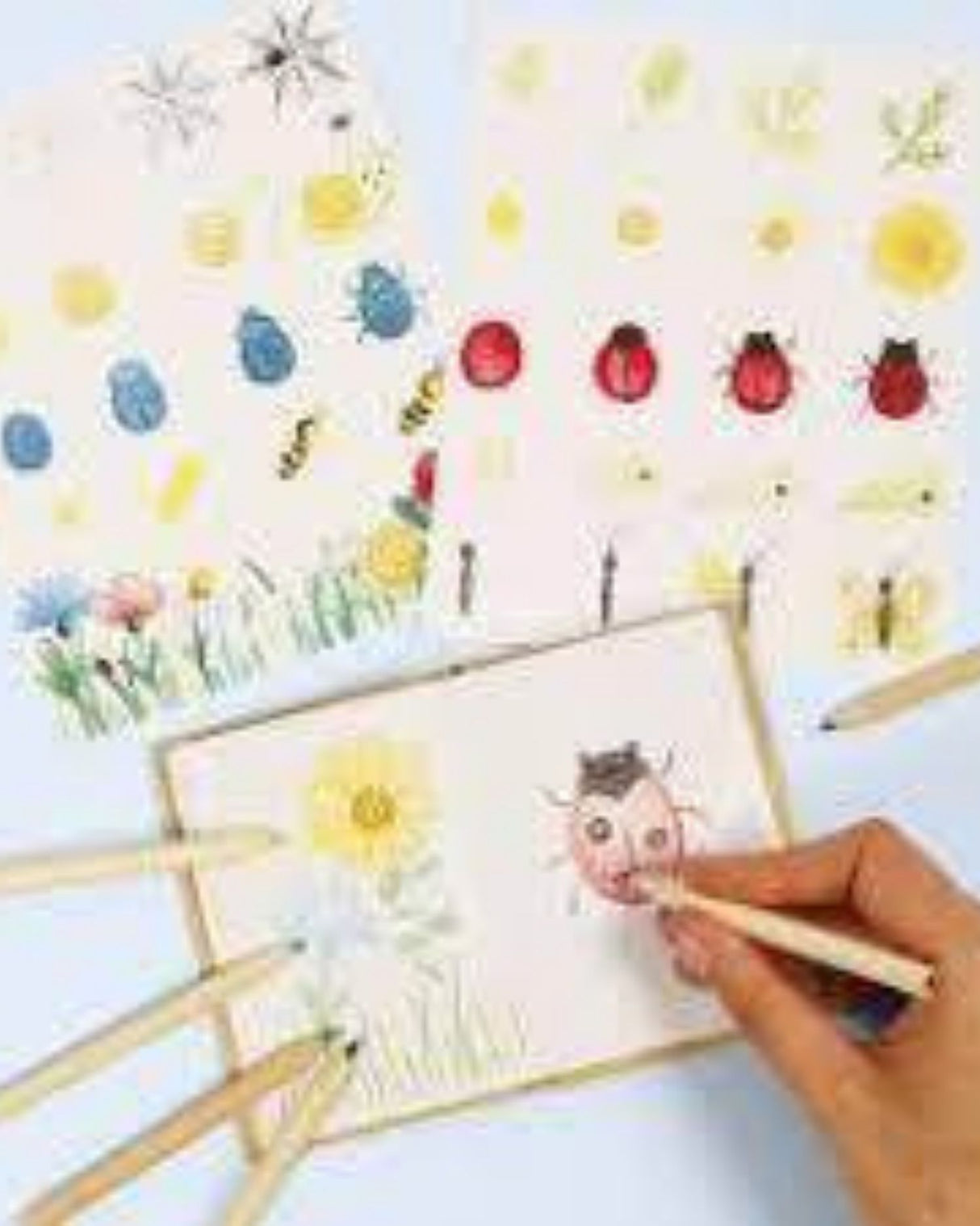 Mini DIY Kit - lær at tegne insekter