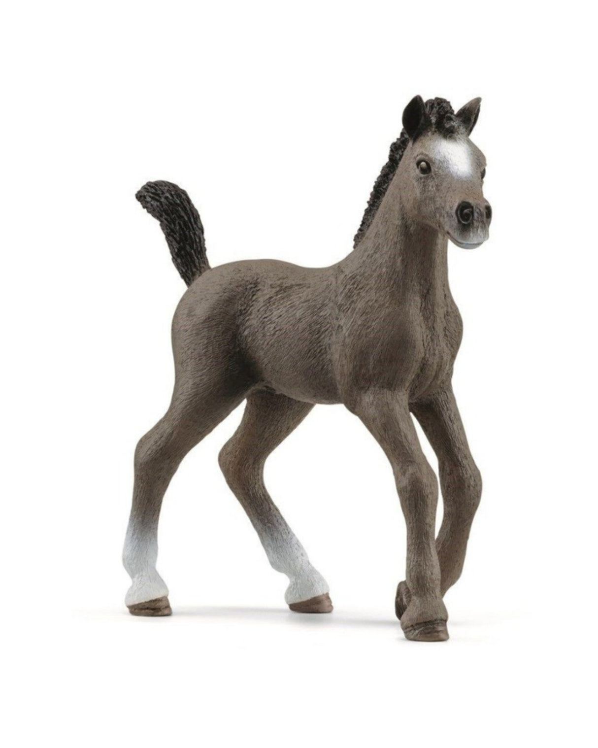 Cheval de Selle Fr. foal - Schleich 13957