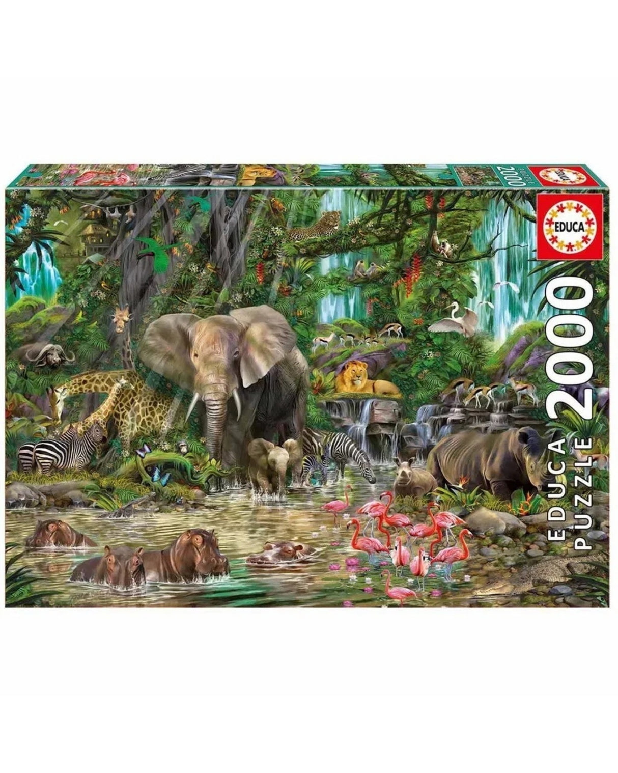 Educa 2000 African Jungle