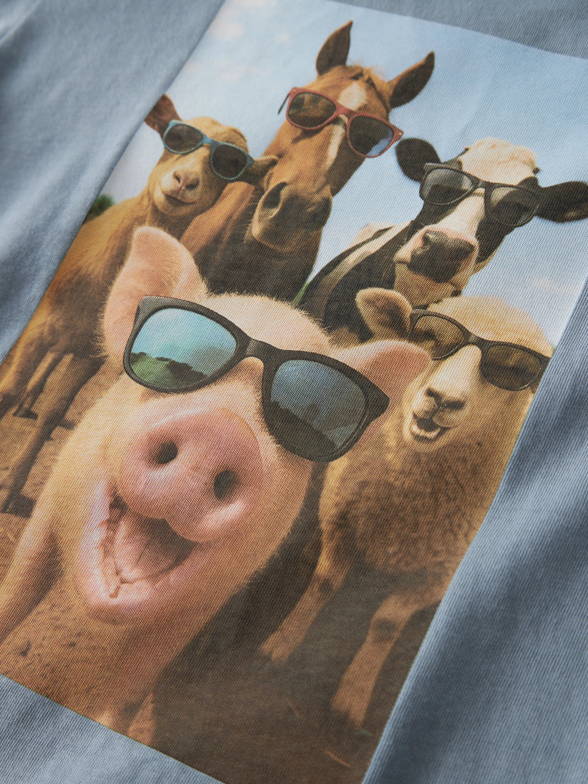 Ashley Blue Farm Animals Bluse fra Name it - 13238400