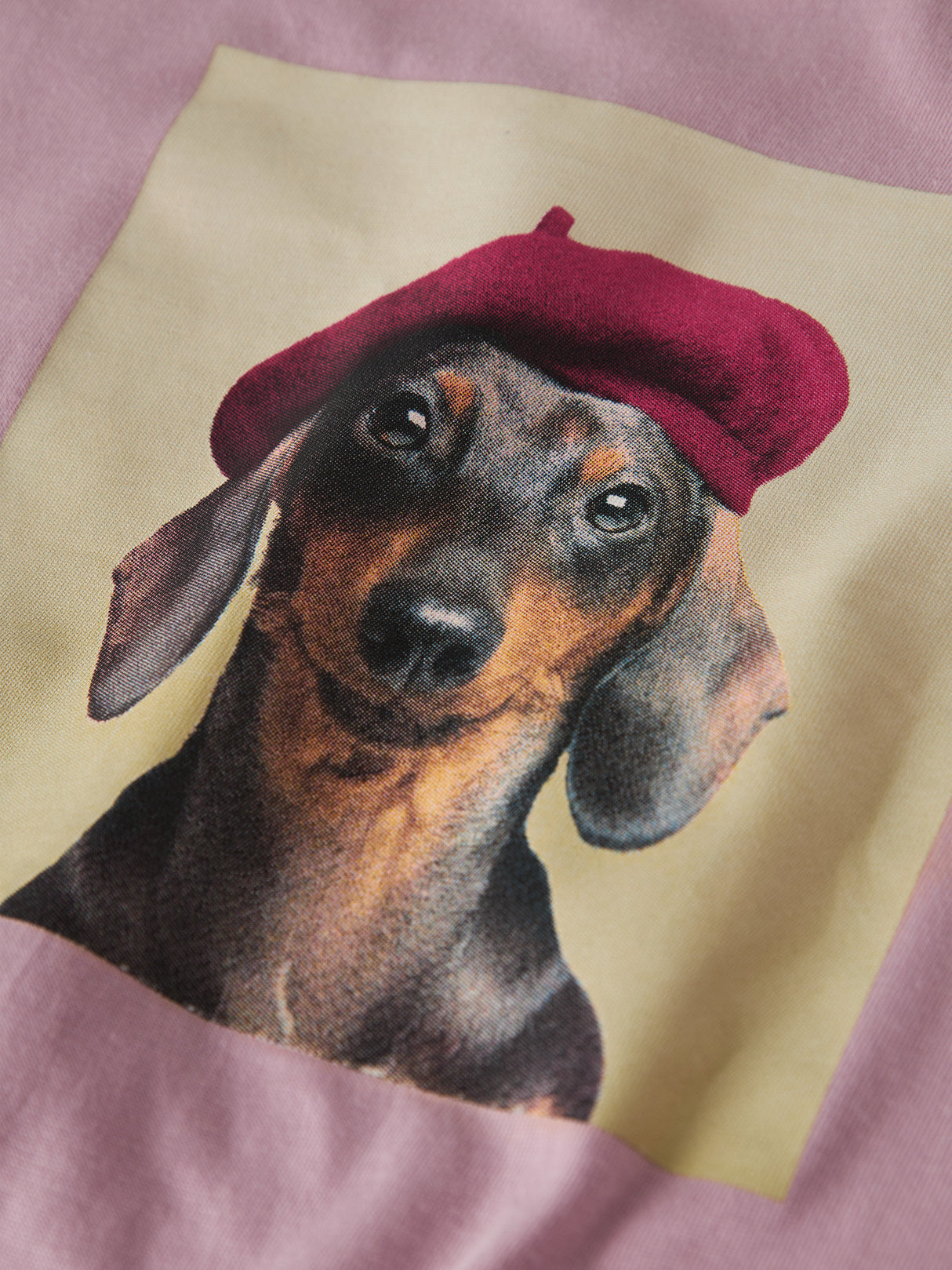Keepsake Lilac Baret Dog Bluser fra Name it - 13238404