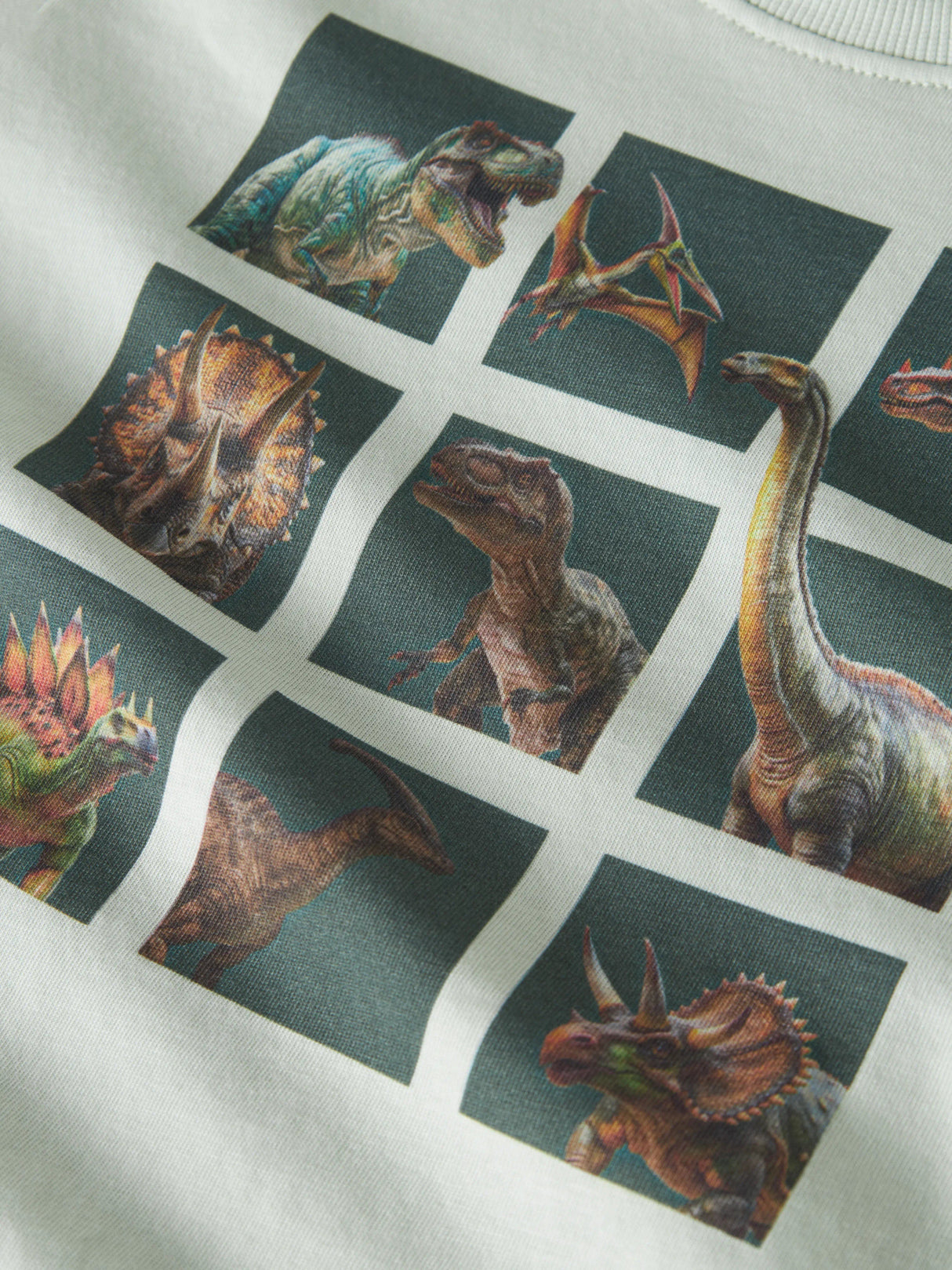 Pale Aqua Dino Squad Bluser fra Name it - 13241569