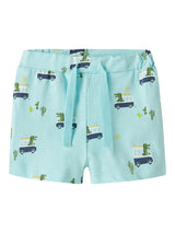 Limpet Shell Shorts fra Name it - 13254832